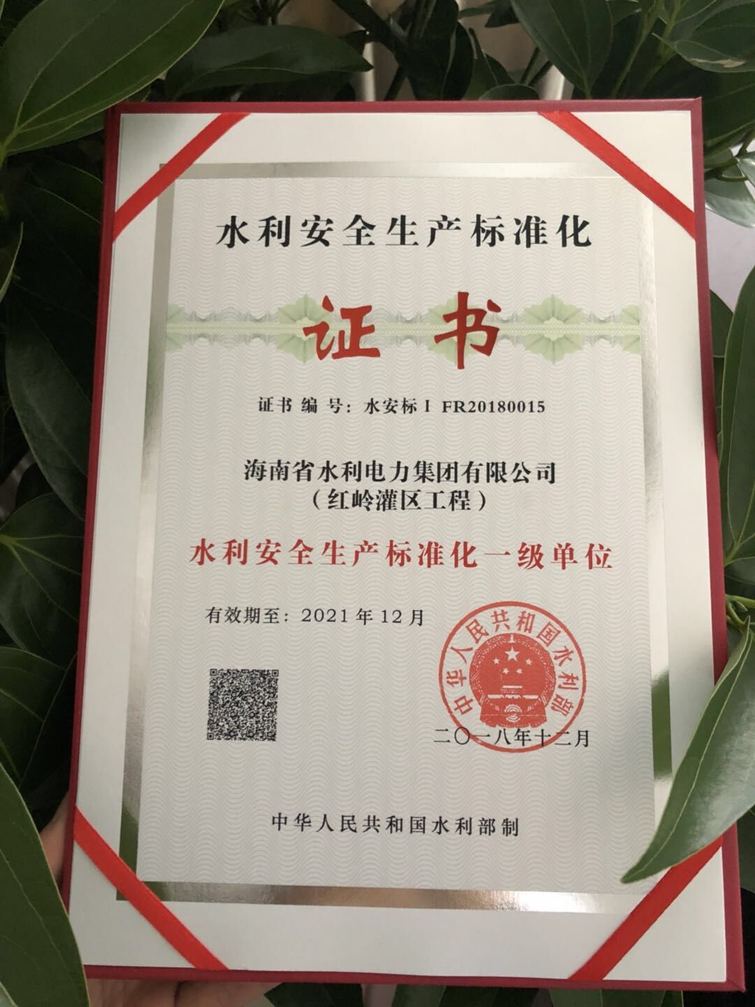 图片要害词 图片要害词