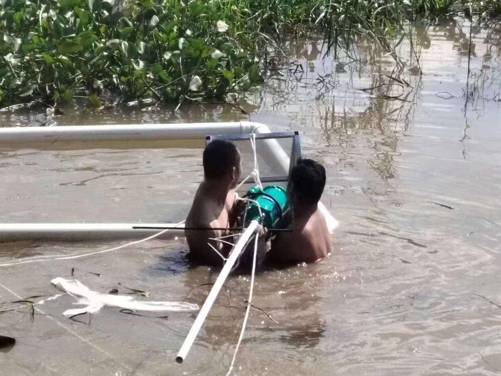 图片要害词