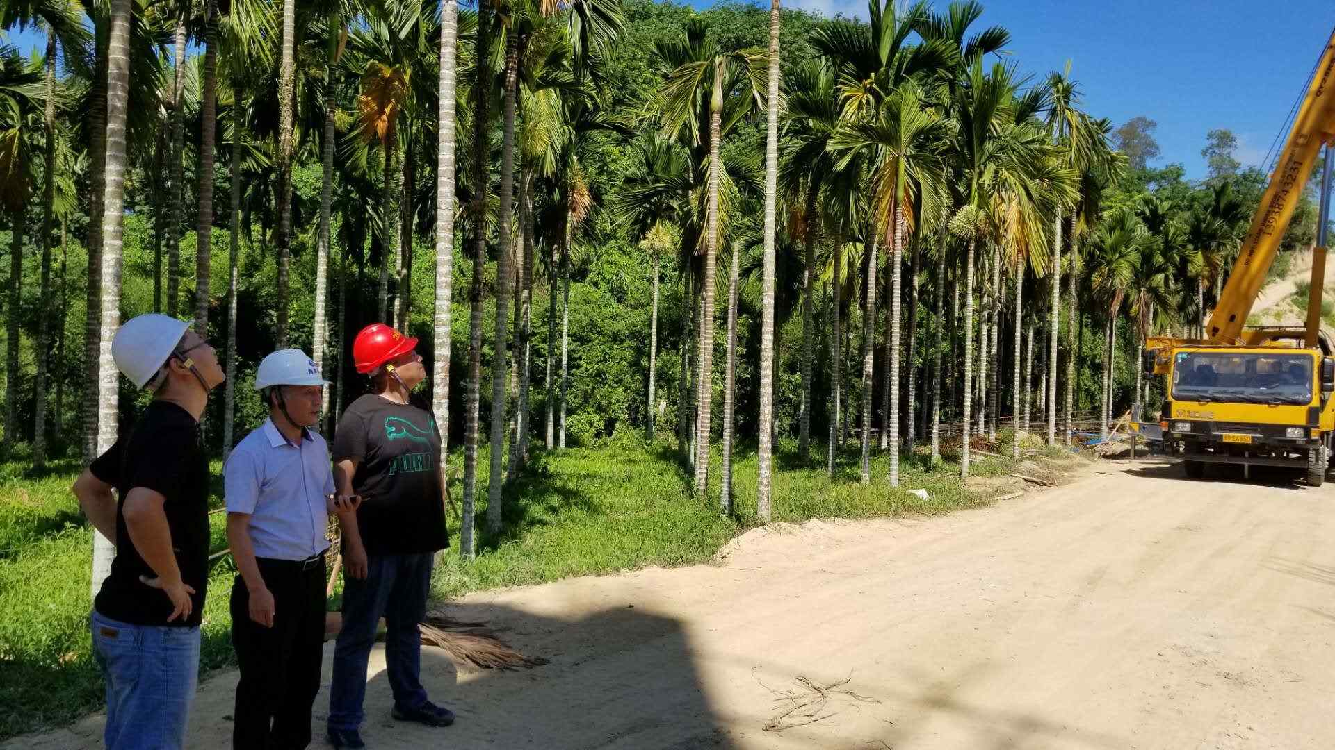 图片要害词 图片要害词