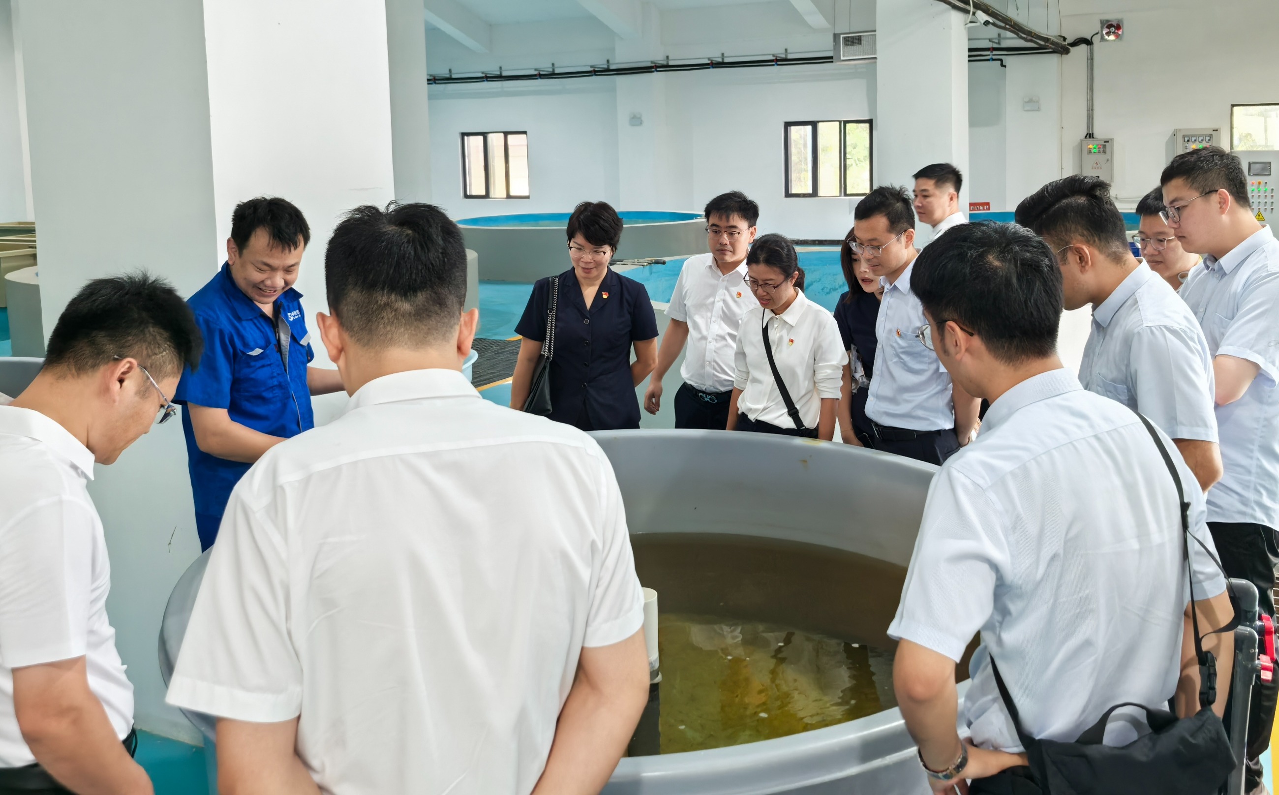 图片要害词