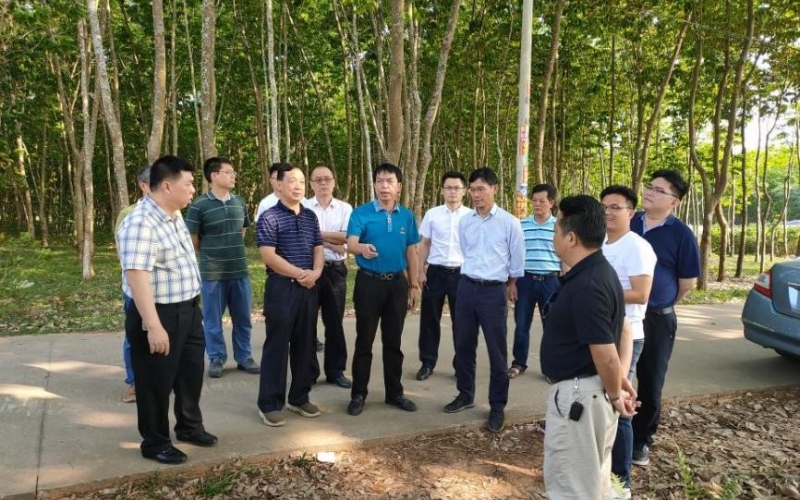 聚焦民生需求，，，70net永乐高集团全力推进天角潭工程移民安顿